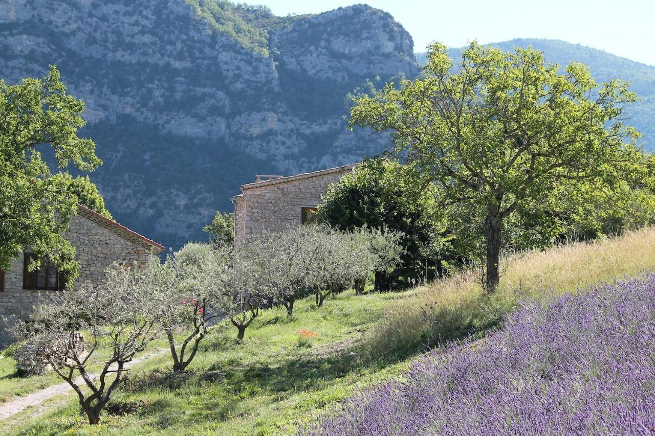Entre Terre Et Ciel Bed & Breakfast Remuzat Luaran gambar